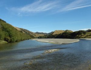 16May2016110542Pahaoa River.jpg